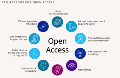 Image from the website