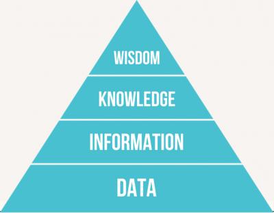 Image from the website