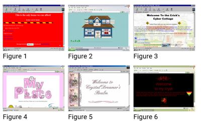 Image from the website