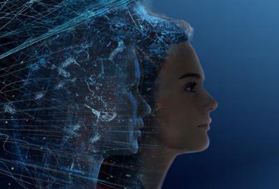 Image from the website