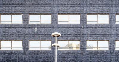 Image from the website