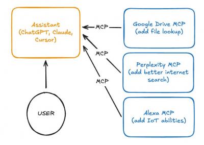 Image from the website