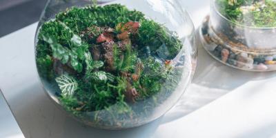 Image from the website