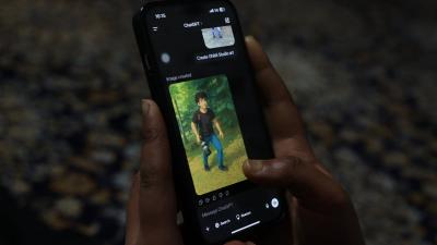 Image from the website