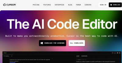 Image from the website