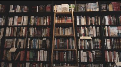 Image from the website