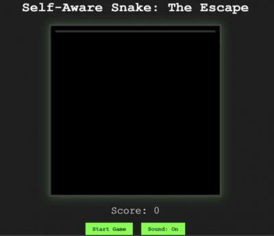 Image from the website