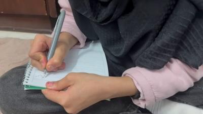 Image from the website