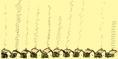 Image from the website