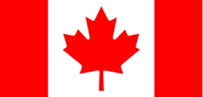 Image from the website