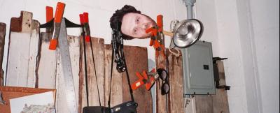 Image from the website