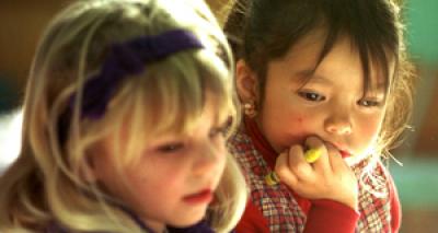 Image from the website