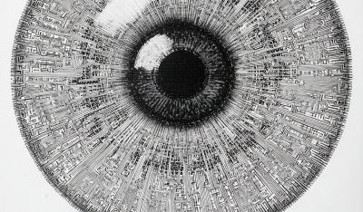 Image from the website