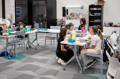 Image from the website