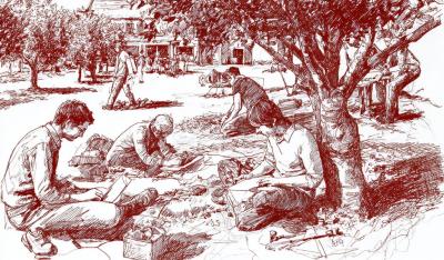 Image from the website