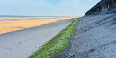 Image from the website