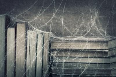 Image from the website