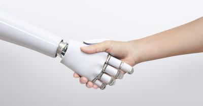 Image from the website