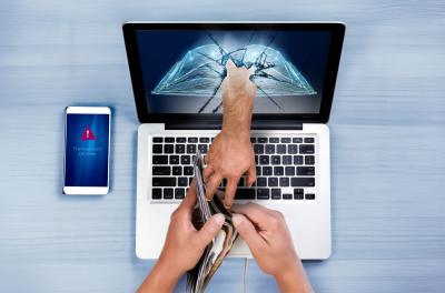 Image from the website