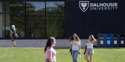 Image from the website