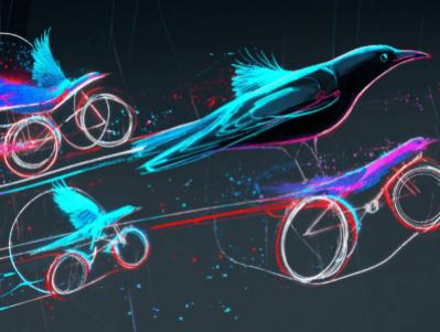 Image from the website