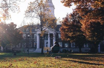 Image from the website