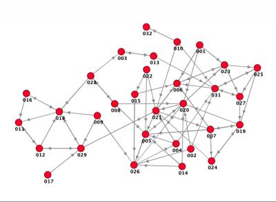 Image from the website