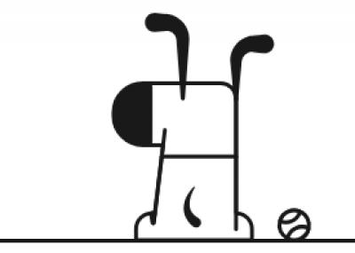 Image from the website