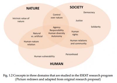 Image from the website