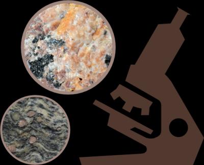 Image from the website