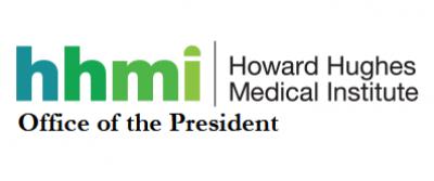 Image from the website