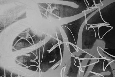 Image from the website