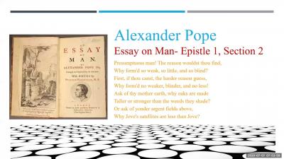 Image from the website