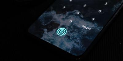 Image from the website