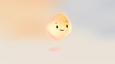 Image from the website