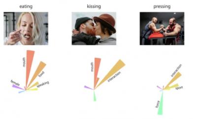 Image from the website