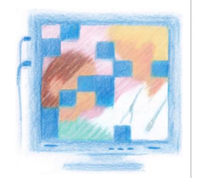 Image from the website