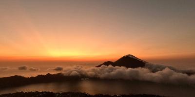 Image from the website