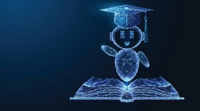 Image from the website