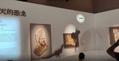 Image from the website