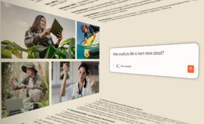 Image from the website