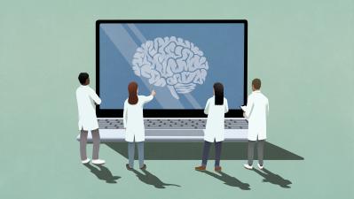 Image from the website