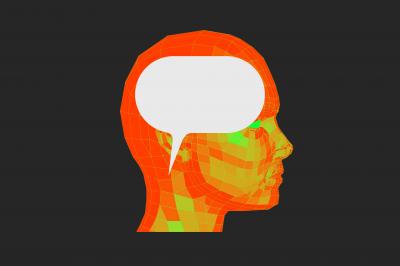 Image from the website