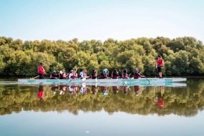 Image from the website