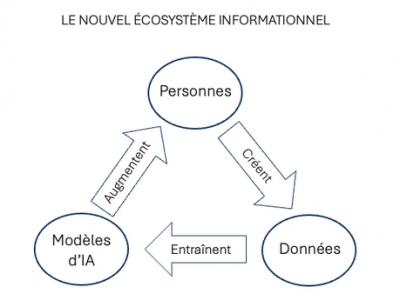 Image from the website