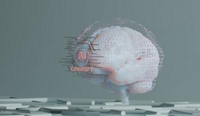 Image from the website