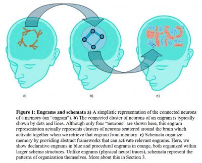 Image from the website