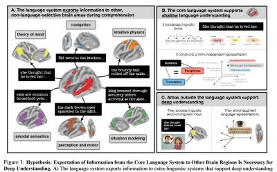 Image from the website