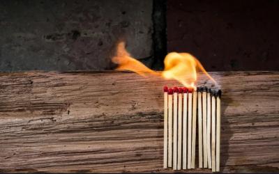 Image from the website