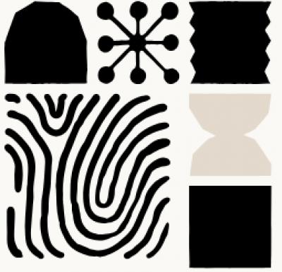 Image from the website